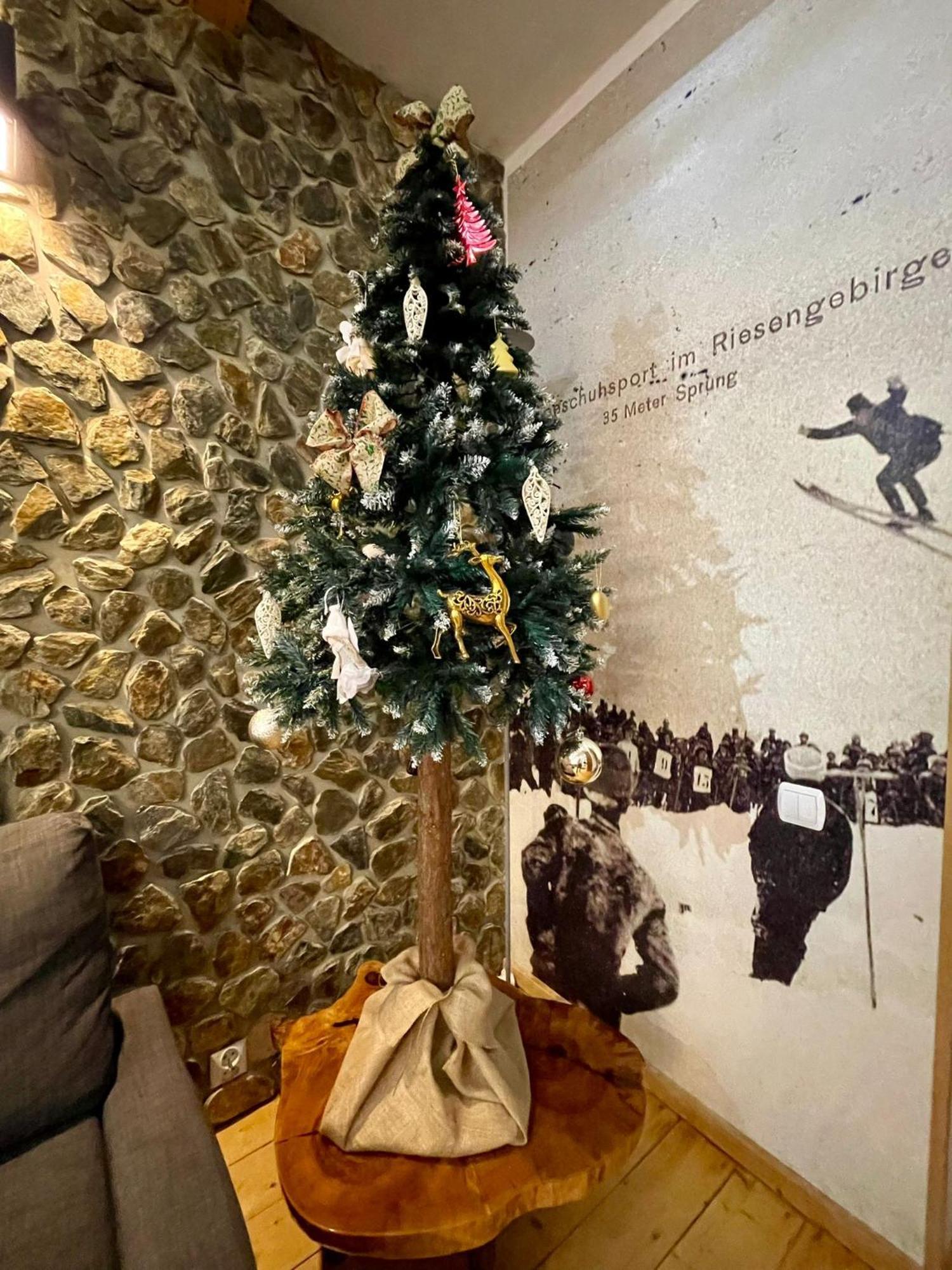 Apartamenty Pod Skocznia Karpacz Oda fotoğraf